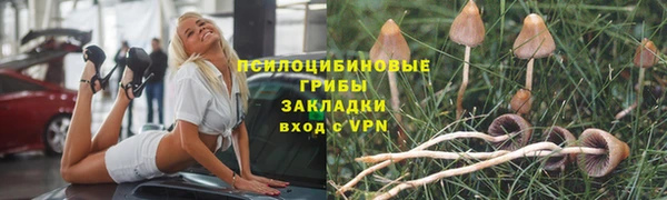 ECSTASY Надым