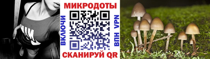 где купить наркоту  Пущино  Псилоцибиновые грибы Psilocybe 